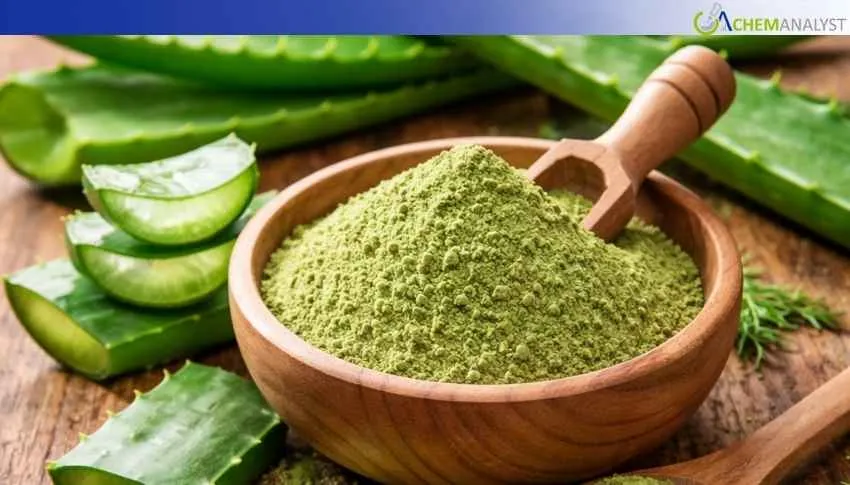 Italian Aloe Vera Powder Value Rise 1% in January Amid Strong Demand