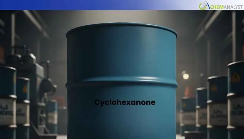 January Cyclohexanone Snapshot: China Gains 3.8% While US Prices Stay Flat