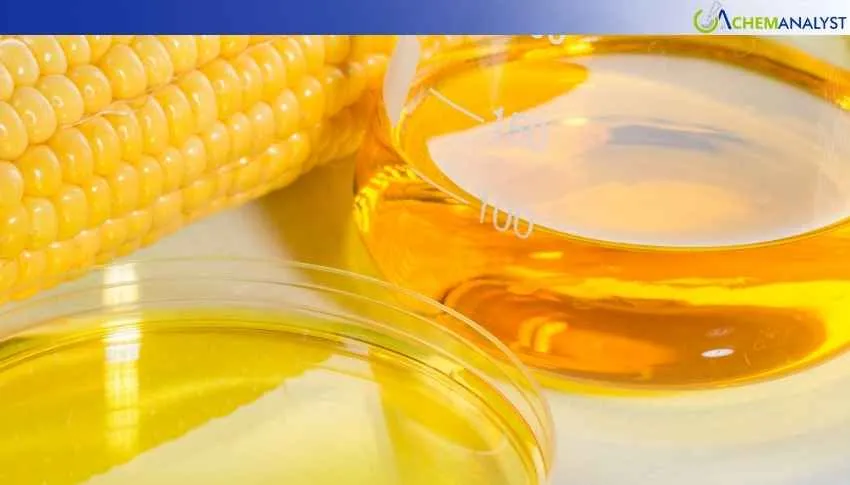 Late-April Pressure Pushes US Corn Syrup Down 1.2% WoW Despite Monthly Gain