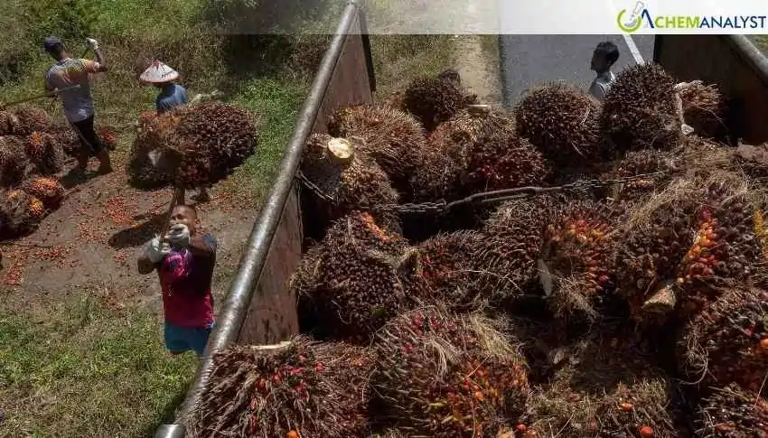 Malaysia Boosts Palm Biodiesel Amid Rising Oil Prices
