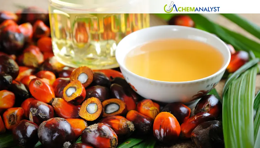 Malaysian Palm Oil Futures Rebound on Stronger Edible Oils and Weak Ringgit