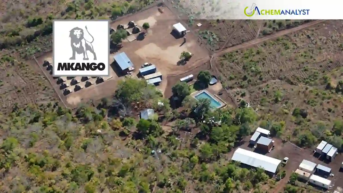 Mkango Resources Issues New Shares Following Option Exercise