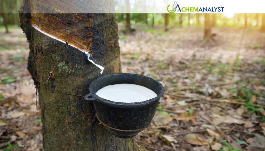 Natural Rubber (TSR) Gains Nearly 7% in US Market Amid Global Supply Deficits