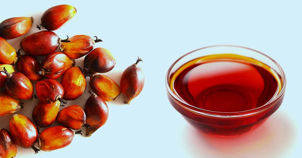 Numerous Benefits of Palm Kernel Oil 