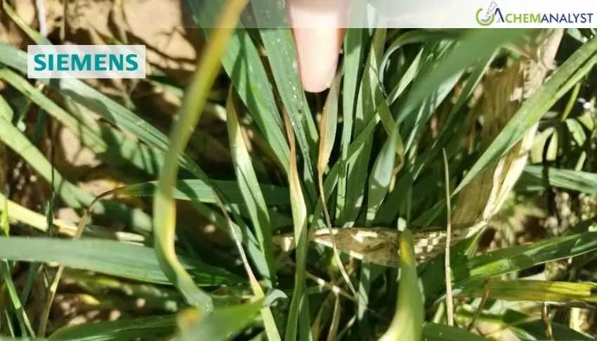 Siemens and Shomax Expand US Fertilizer Production with Zero-Carbon Green Ammonia