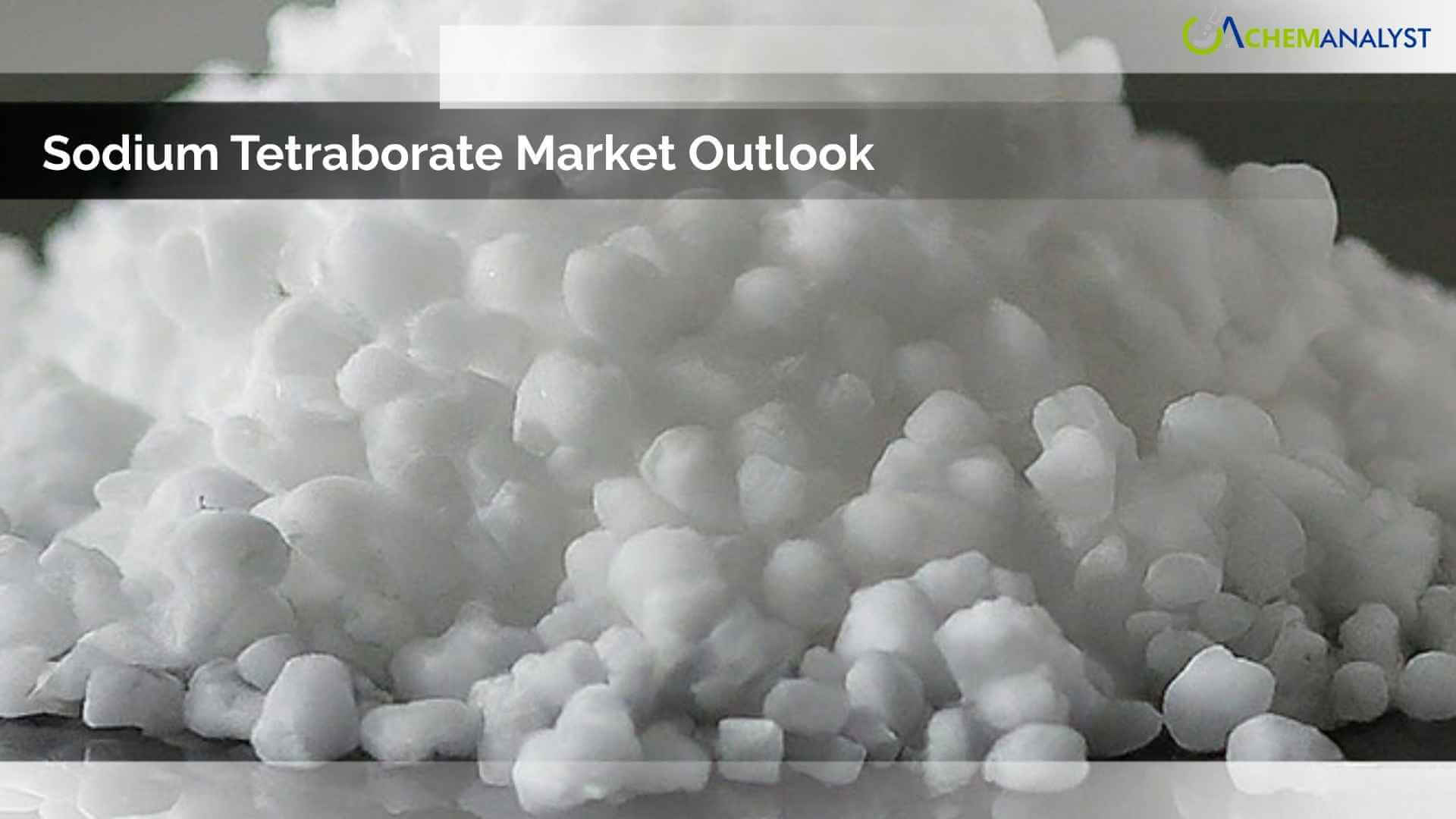 Sodium Tetraborate Market Outlook: Applications, Manufacturing Process, Pricing Trends, and Global Demand Analysis