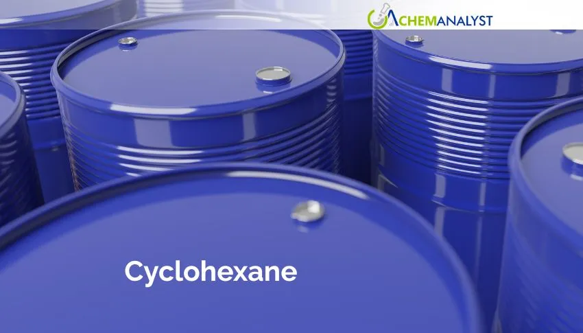 Soft Benzene Prices Push China Cyclohexane Down 5.22% in Early July