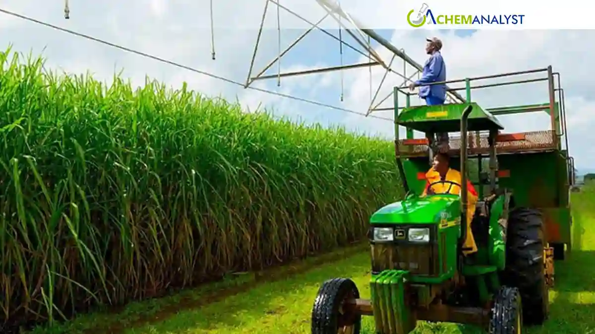 South Africa Sugar Industry Under Pressure as Imports Nearly Double