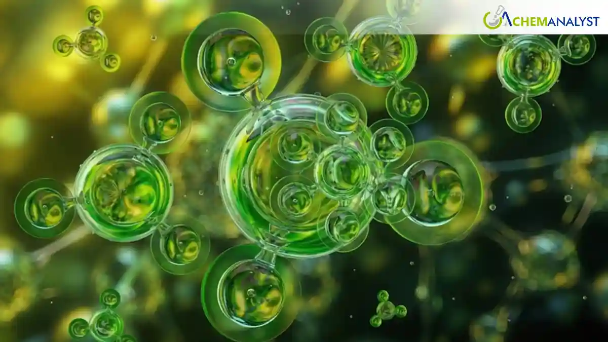 Sri Lanka Invites Global Investment in Green Hydrogen and Ammonia Projects