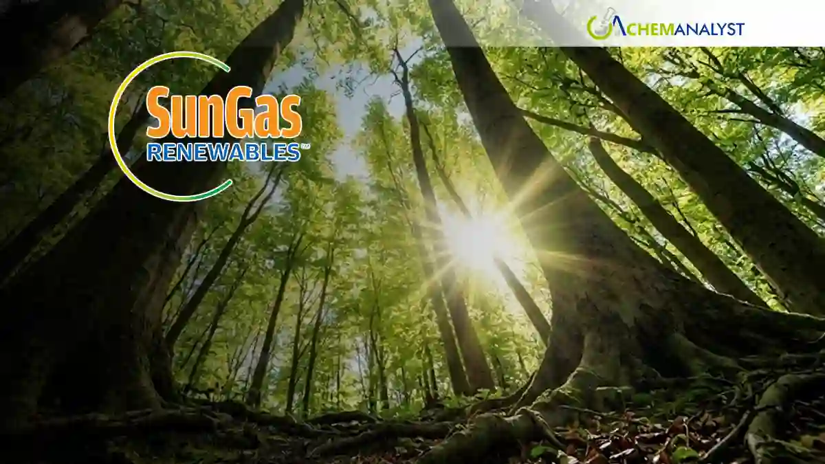 SunGas Suspends Louisiana Biomethanol Project Amid Market, Regulatory, and Financing Challenges