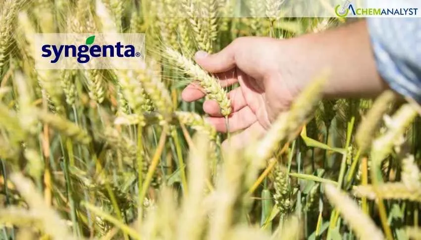 Syngenta Advances Wheat Innovation, Gearing Up to Roll Out X-Terra Hybrid Wheat Across Europe