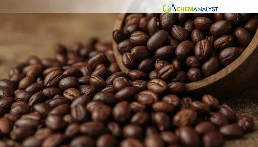 Taiwan's Premium Coffee Strategy Drives Alishan Beans to Record Global Prices