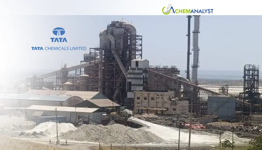 Tata Soda Ash Mine Dispute Deepens as Kenya Seeks Local Processing
