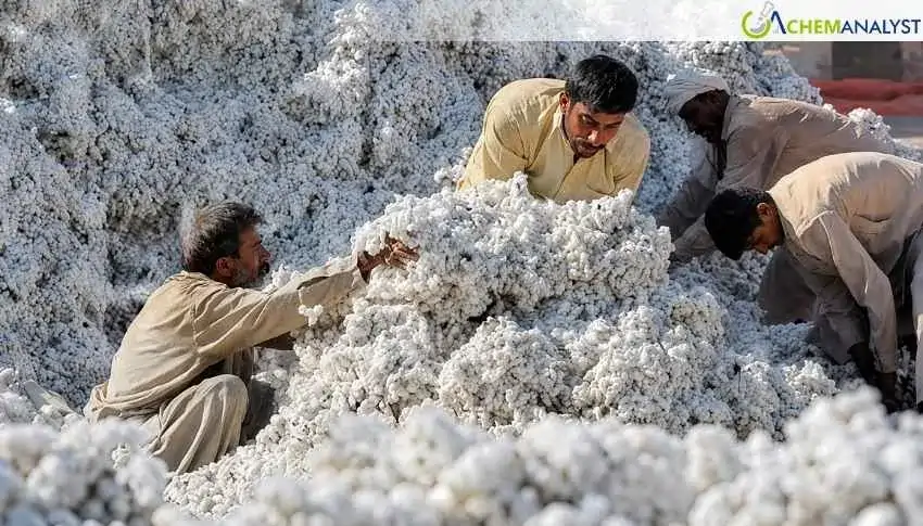 Textile Mills Risk Closure Amid Record-Low Cotton Inventories