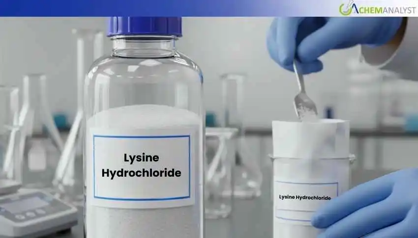 Tightened Inventories Drive US Lysine Hydrochloride Prices 14% up in April 2026