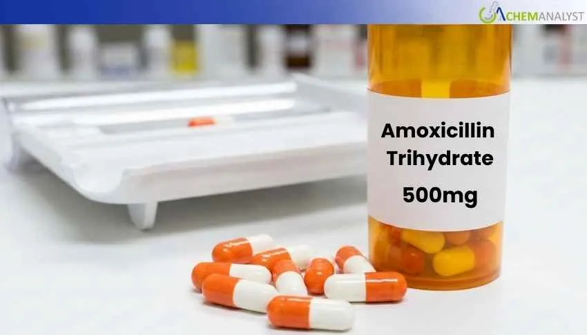 US Amoxicillin trihydrate Import Prices Tend Slightly Higher in December Based on Seasonal Demand