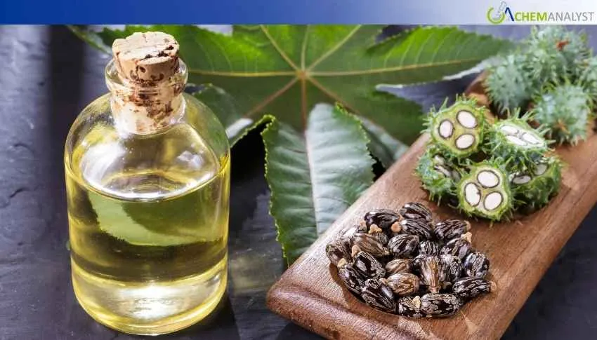 US Castor Oil Market Plummet 4% in January 2026 as Seed Prices Fall