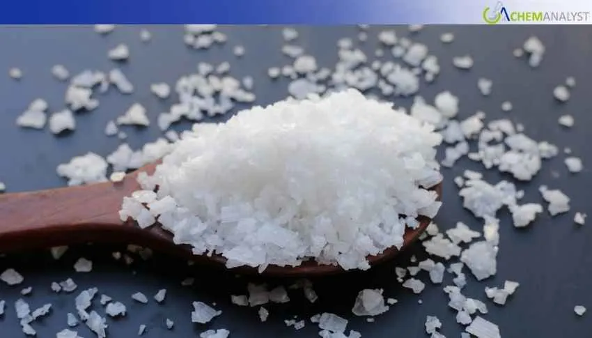 US Caustic Soda Market Softens on Oversupply and Lower Production Costs