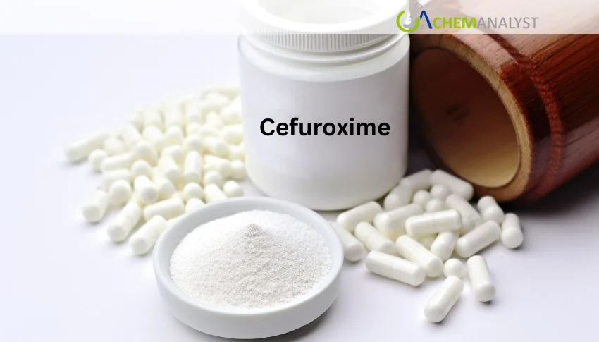 US Cefuroxime Prices Edge Higher on Rising Trans-Pacific Freight Costs