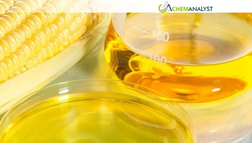 US Corn Syrup Prices Move 2.6% Lower in late May 2026 Amid Demand Supply Disbalance