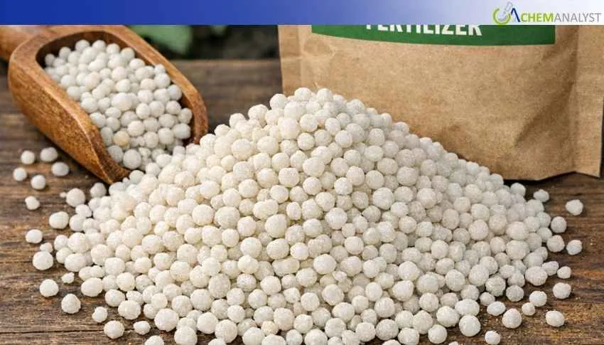 US DAP Prices Fall in January 2026, Rebounds 3.3% in Early February on Cautious Demand