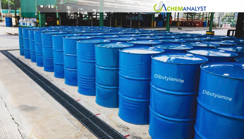 US Dibutylamine Prices Rise 8.7% in July on Higher Import Costs and Strong Demand