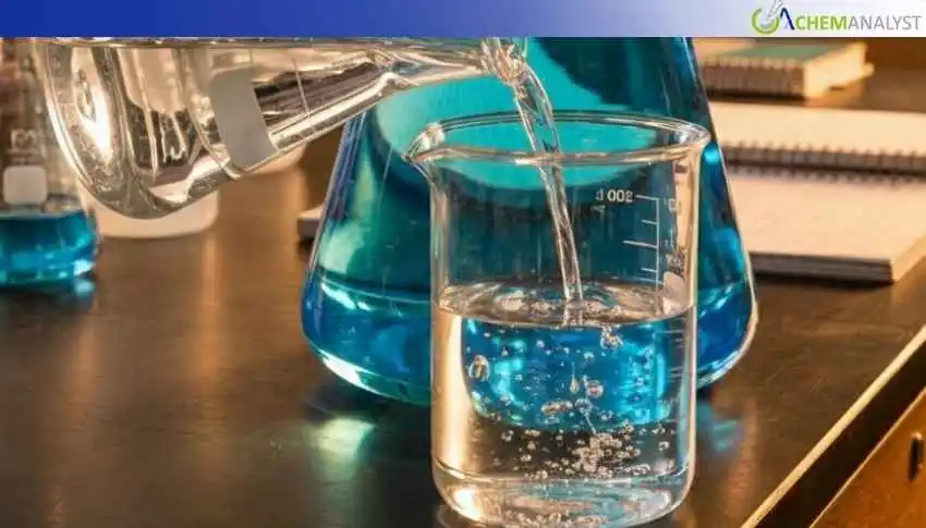 US Glycol Ether Market to End 2025 on a Balance Note