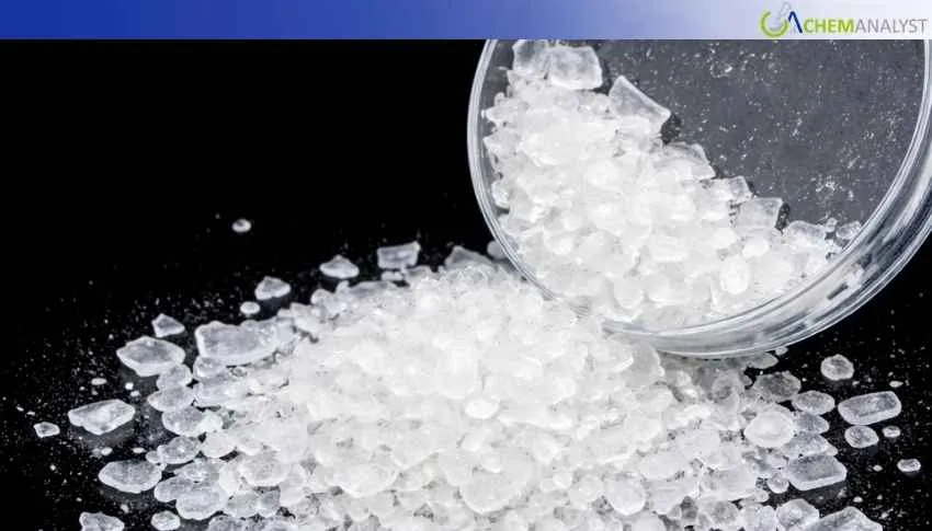 US Isophthalic Acid Prices Fall 22.63% in early April 2026 as the Market Corrects