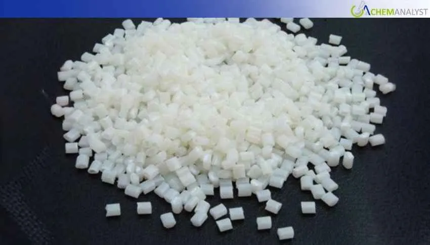 US LDPE Film Prices Rise 4.53% in Late March on Strong Demand