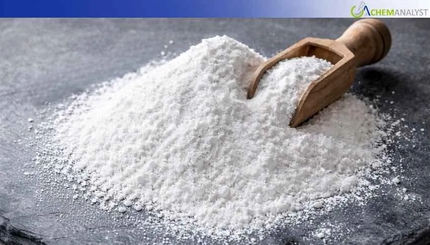 US Magnesium Powder Market Rebound by 1.4% in January 2026 Post 6.5% Decline