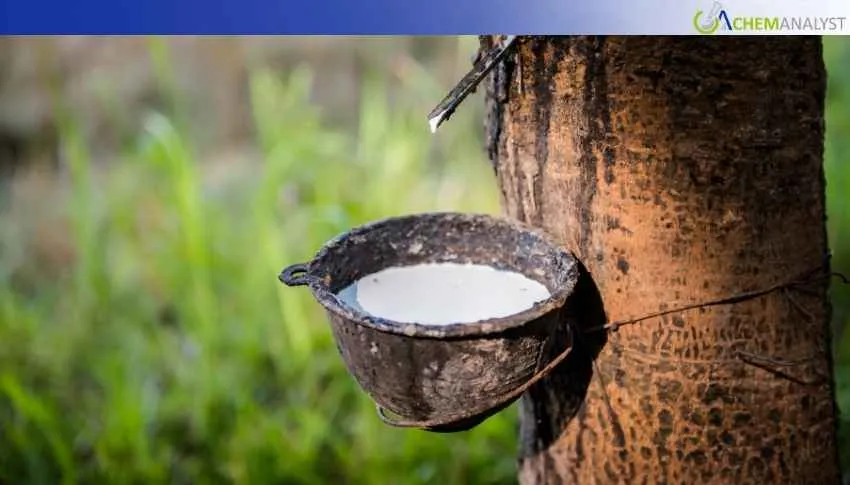 US Natural Rubber Prices Surge Amidst Tight Supply and Geopolitical Pressures