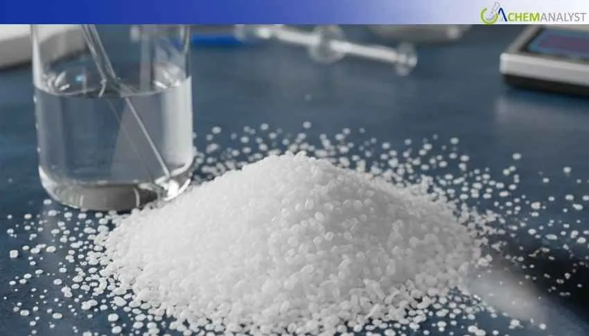 US Neopentyl Glycol Market Remains Rangebound With Modest January Gains