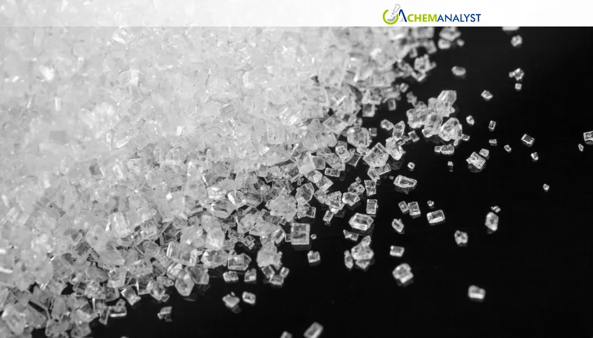 US Neopentyl Glycol Prices Fall 1.43%; More July Declines Expected