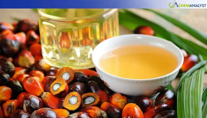 US Palm Oil Prices Ease Marginally in late April 2026, Here is Why