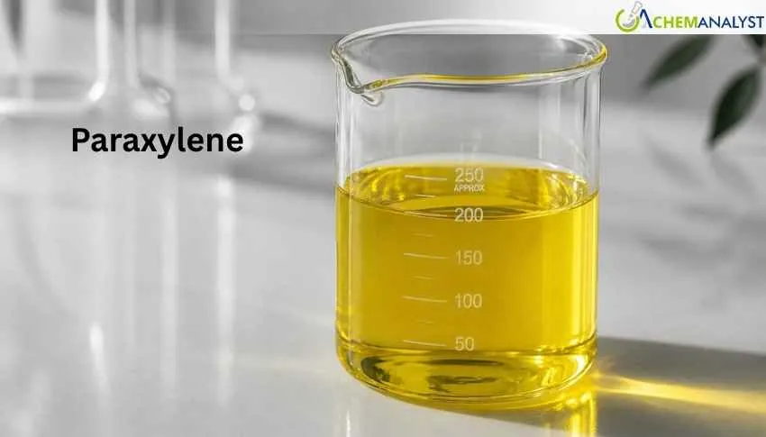 US Paraxylene Prices Firms 4.5% in late April 2026 as Feedstock Prices Inflate