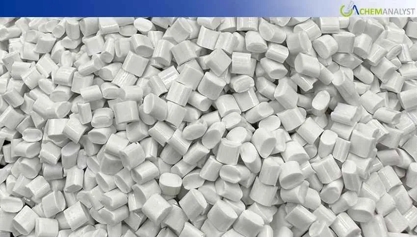 US PBT Prices Rise 1.56% as Demand Remains Mixed during the second week of February 2026