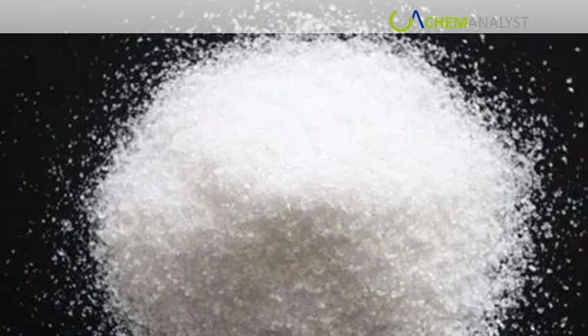US Polyacrylamide Prices Climb 2.43% in July as Supply Tightens