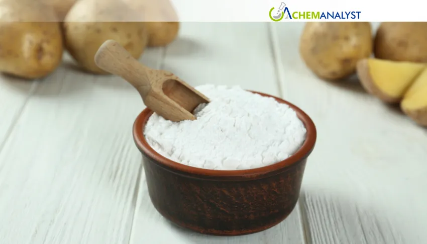 US Potato Starch Market Turns Cautiously Bullish Amid Cargo Delays and Seasonal Demand