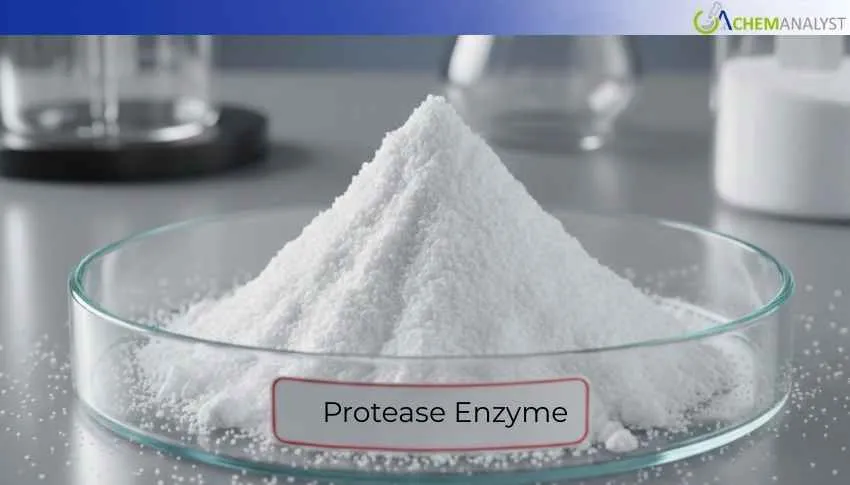 US Protease Enzyme Market incline 1.4% in Dec 2026, Strong Demand Supports CFR Prices