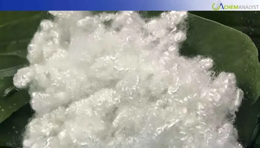 US PSF Prices Rise 7.5% in March on Feedstock Costs and Logistics Tightness