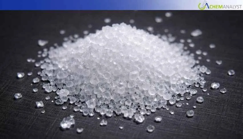 US SAN Market Up 2.68% on Tight Supply and Firm Demand