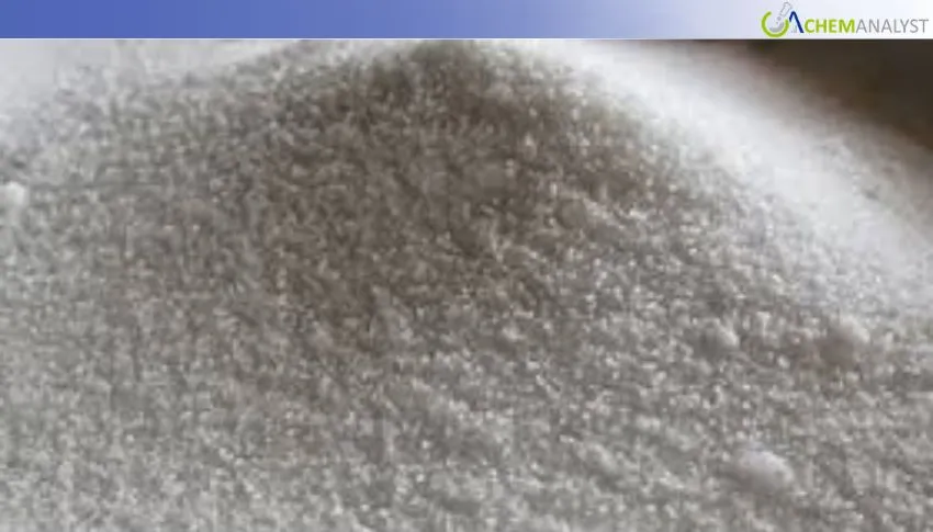 US Soda Ash Market Remains Stable in Late February Amid Soft Monthly Decline