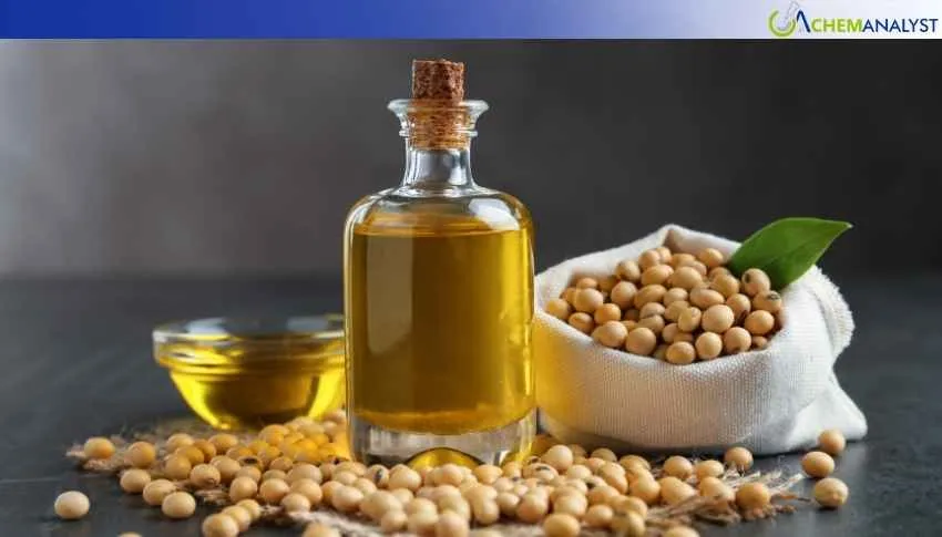 US Soybean Oil Prices Jump 12% in April 2026 as the Threat of Further Uncertainties Rises