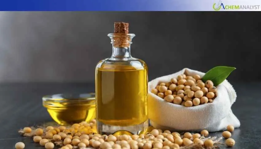 US Soybean Oil Prices Rise 18.2% in March 2026 Amid Logistical Constrains