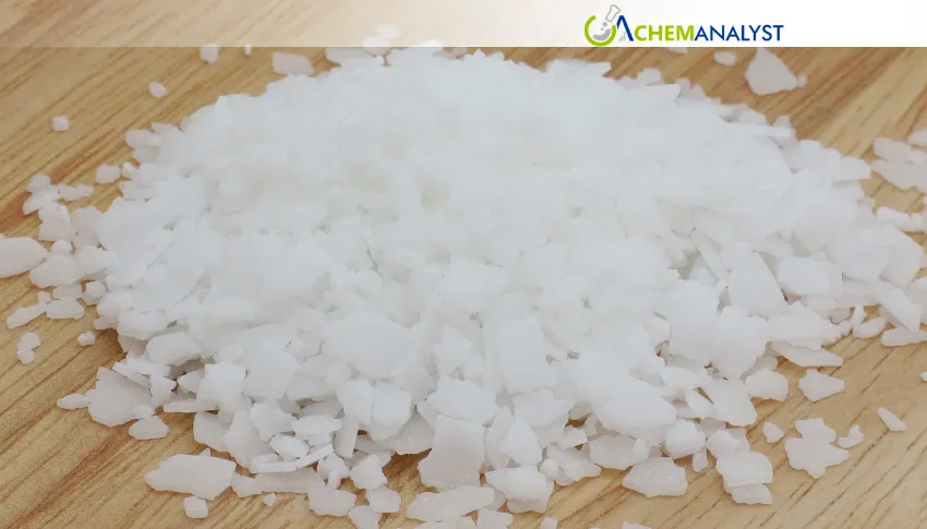 US Stearic Acid Prices Flat in Late June 2026 Despite Lower Palm Oil Costs
