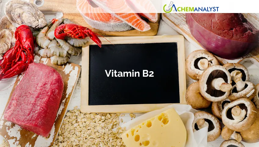 US Vitamin B2 Market Eases 0.90% Amid Comfortable Inventories and Steady Demand
