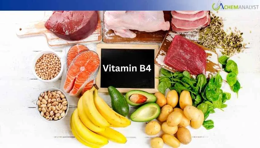 US Vitamin B4 Price Increase 4.6% in January, February Set for Slight Ease