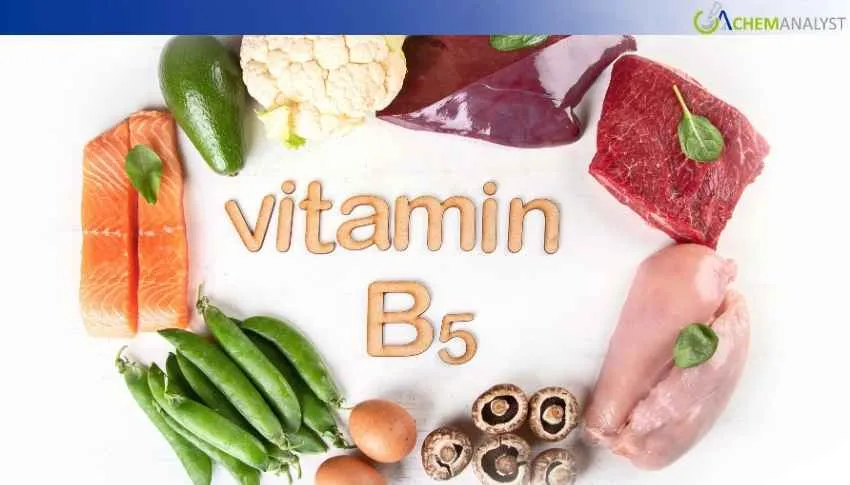 US Vitamin B5 Prices Fall 7.62% in January 2026, Freight Market Drives the Decline