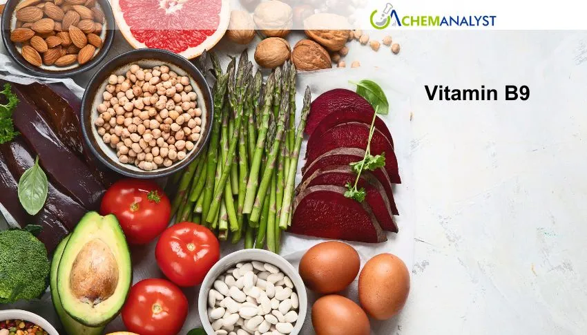 US Vitamin B9 Market Sees Soft Outlook as Prices Anticipate Further Decline