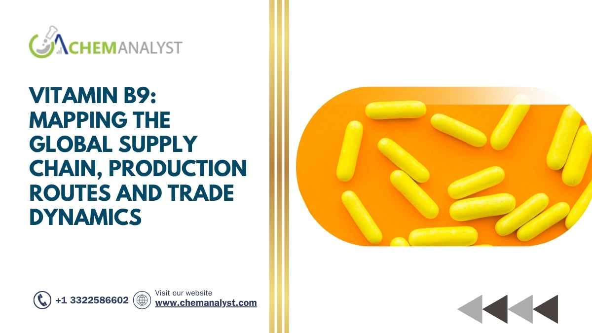 Vitamin B9: Mapping the Global Supply Chain, Production Routes and Trade Dynamics